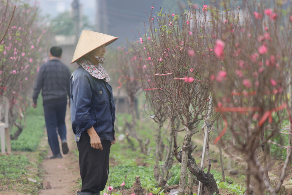 The Cheapest Way To Get Around Hanoi