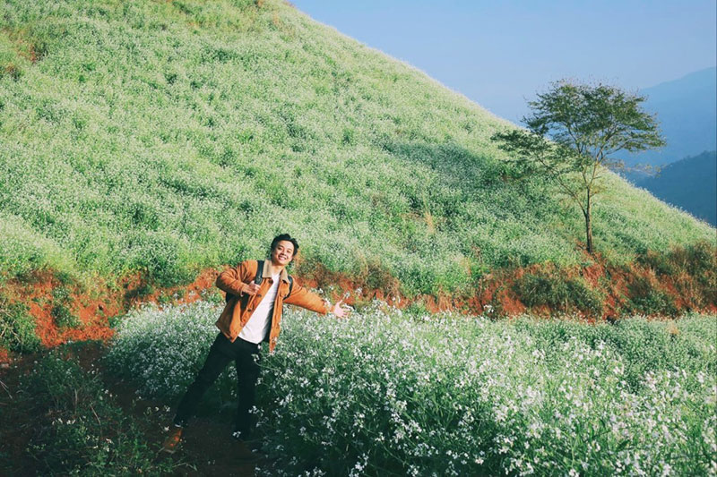 White-Canola-Flowers--QuangKien-Photo